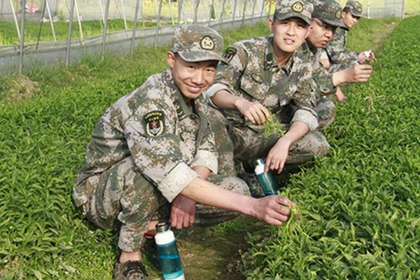 安排学生到学校附