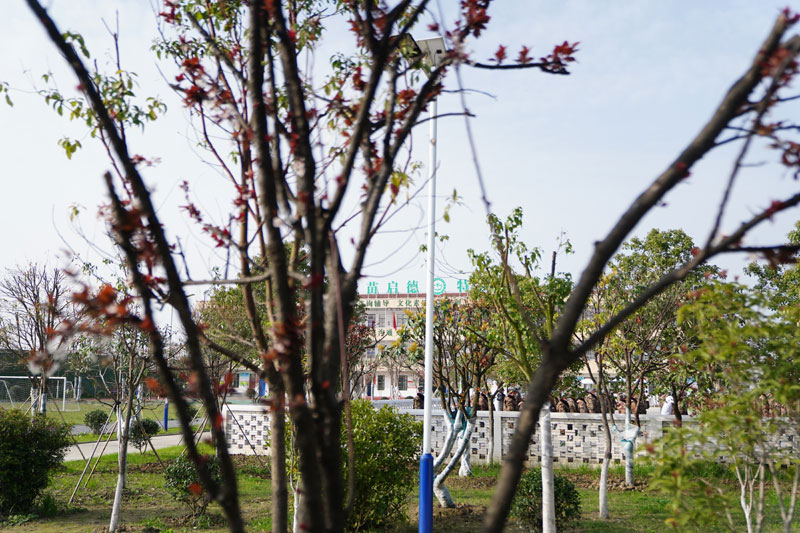 【启德特训疫情工作总结】众志成城 团结一致 共克时艰!