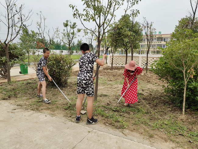 正苗启德特训学校劳动教育基地陆续完善中