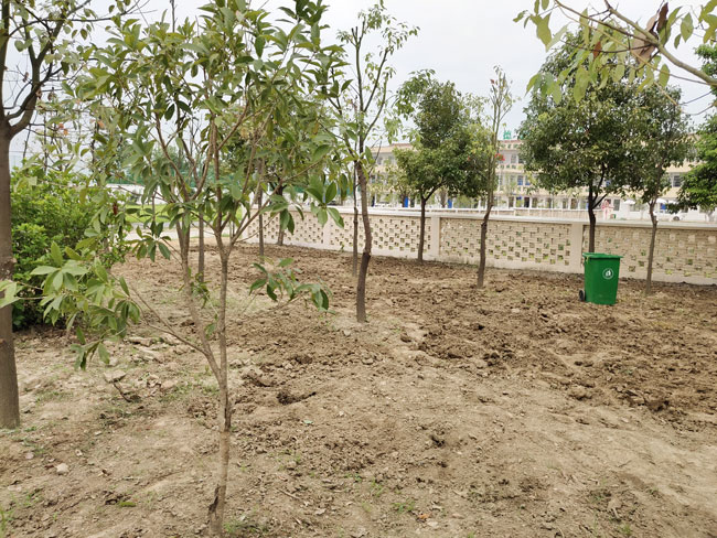 正苗启德特训学校劳动教育基地陆续完善中