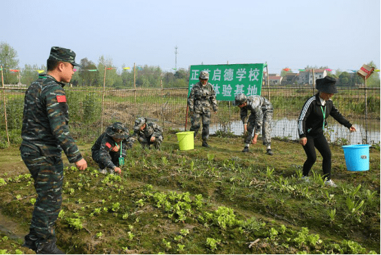 农村生活体验(图1)