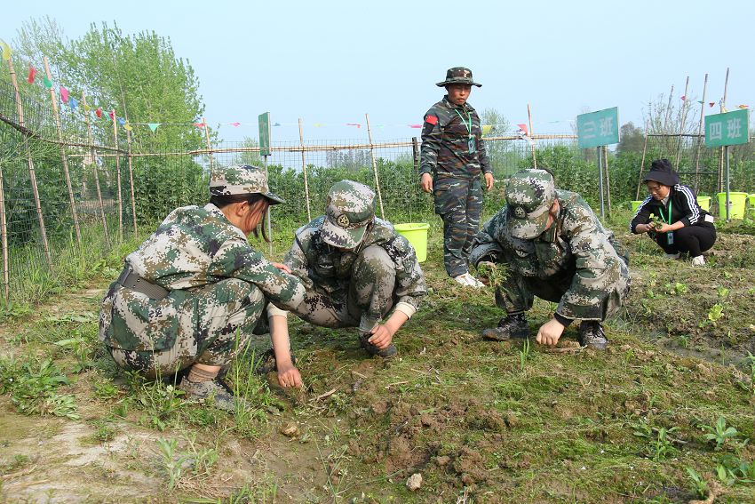 叛逆孩子毕业后怎么样了?(图2) 叛逆孩子毕业后怎么样了?(图2)